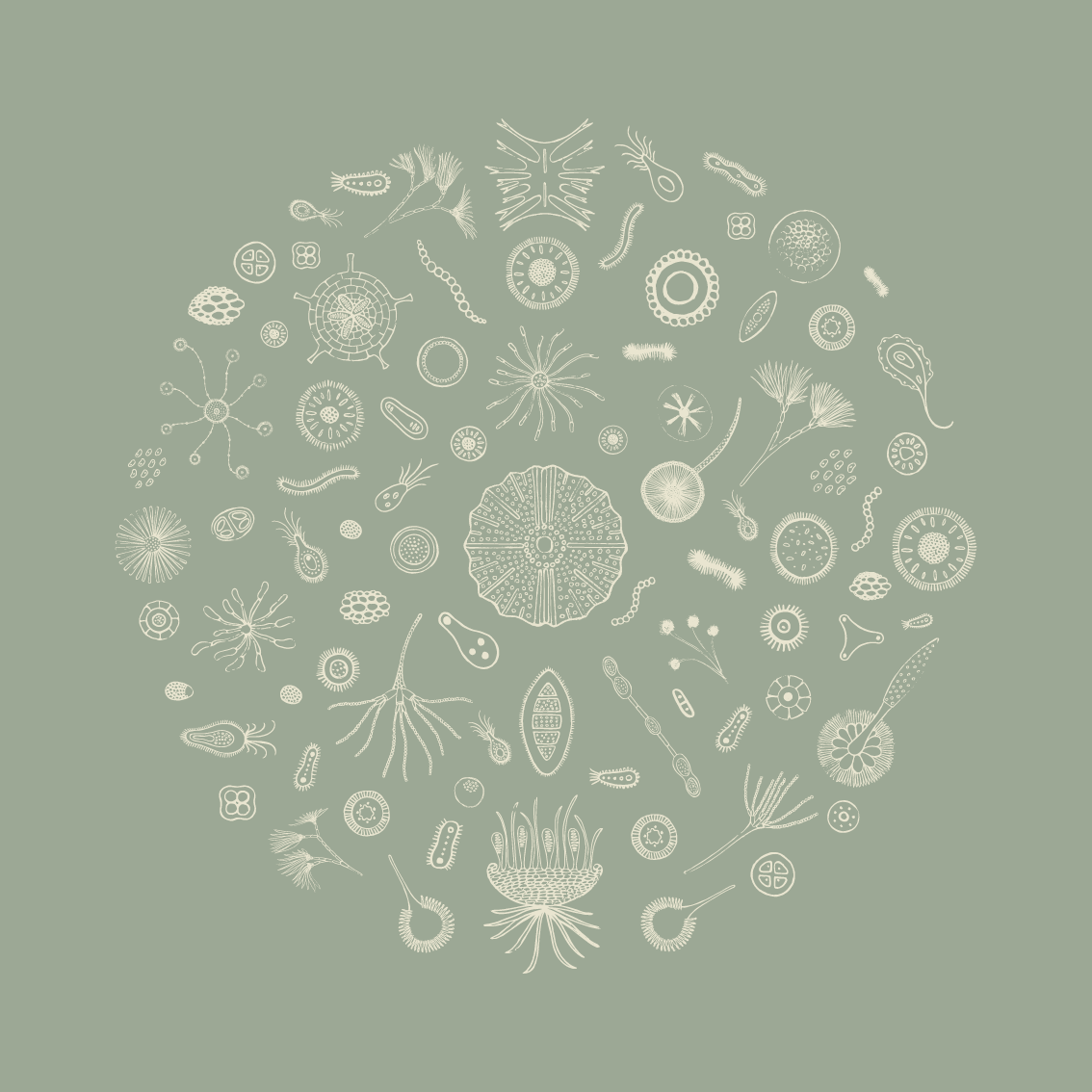 Through The Microscope 3 Part Set