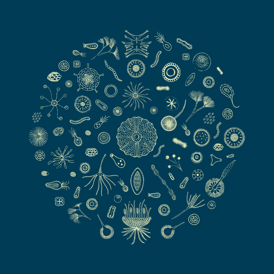 Through The Microscope 3 Part Set